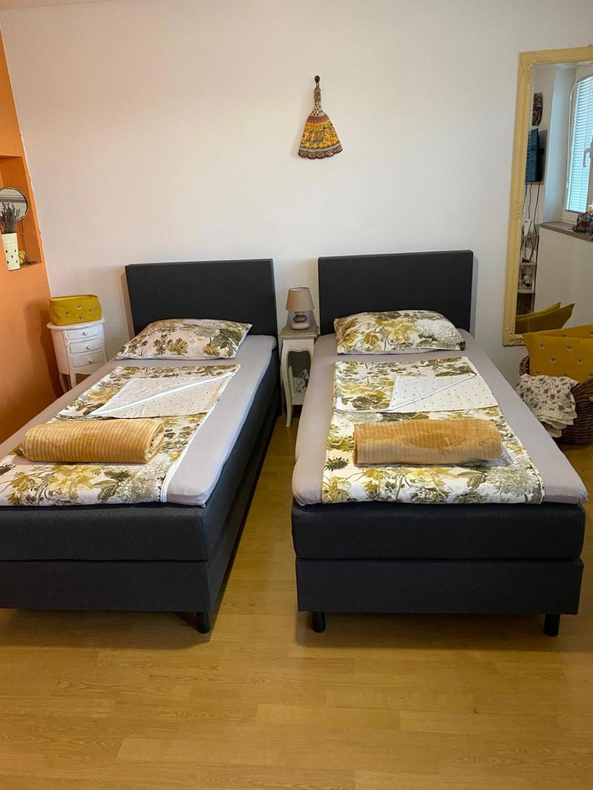 Apartament Apartman Senka Rovinj Zewnętrze zdjęcie