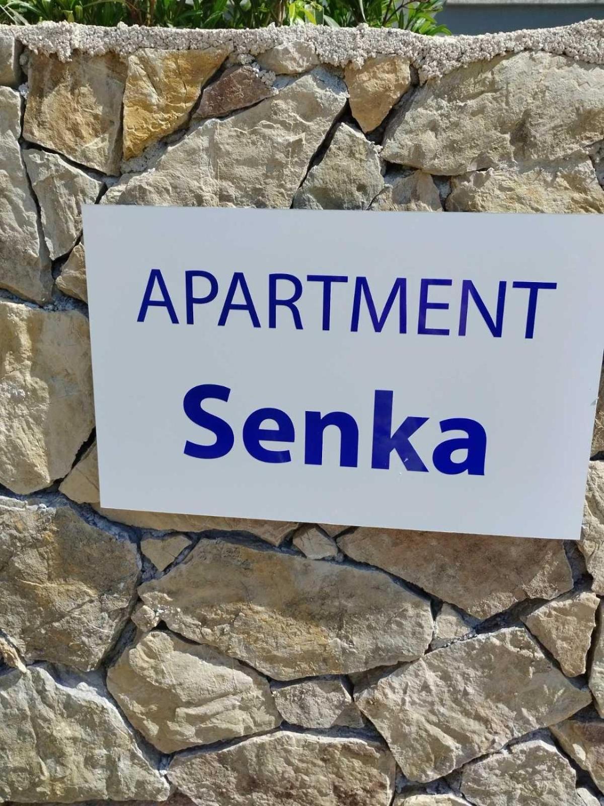 Apartament Apartman Senka Rovinj Zewnętrze zdjęcie