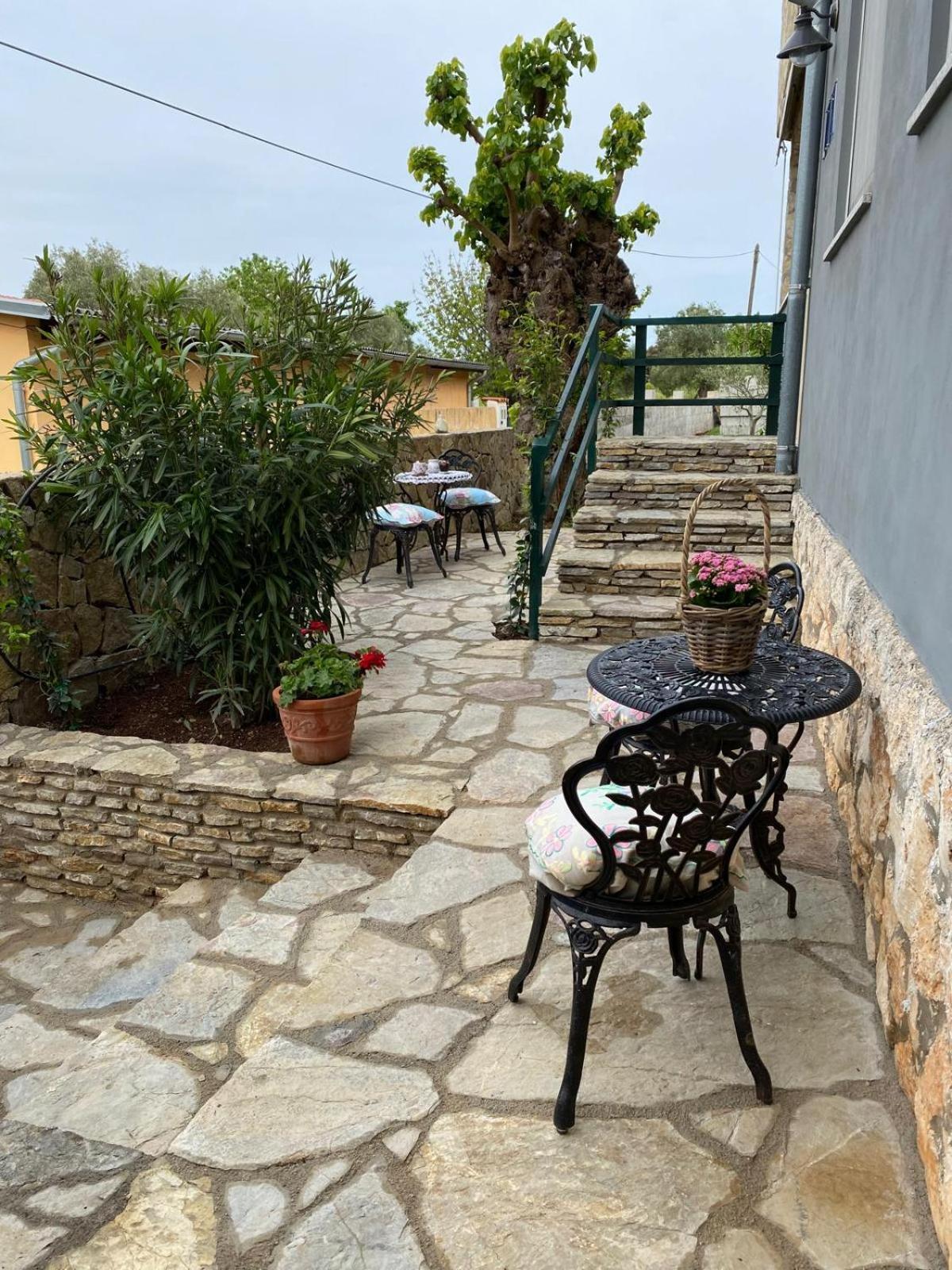 Apartament Apartman Senka Rovinj Zewnętrze zdjęcie